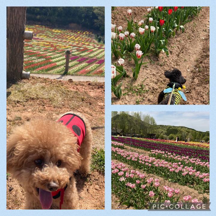 71b7ae0a adb6 4032 9e93 997e33636cd5 1619269228730