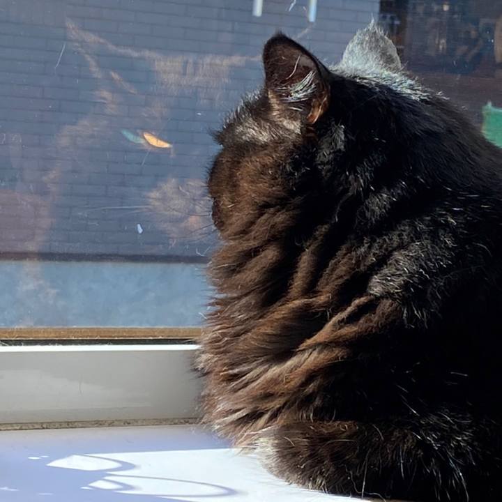 71b7c840 4577 4acf a58c 89b41e2abf53 1637886669177