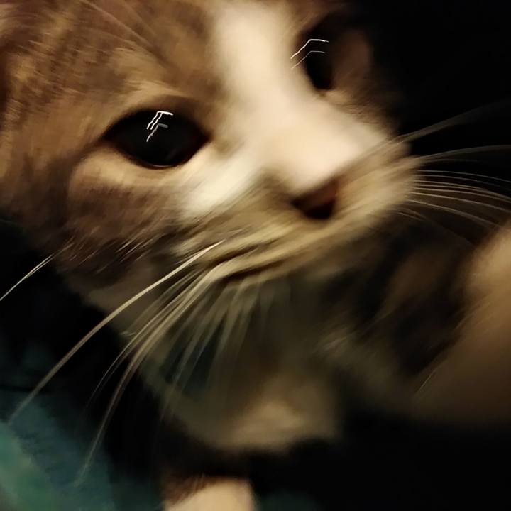 71b81cd7 869e 4fdf 83da 7bf44978f4ec 1573311174099