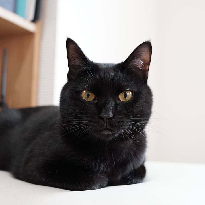 71b81ef3 acde 4050 88f0 05d3e0037ac0 1558949648933