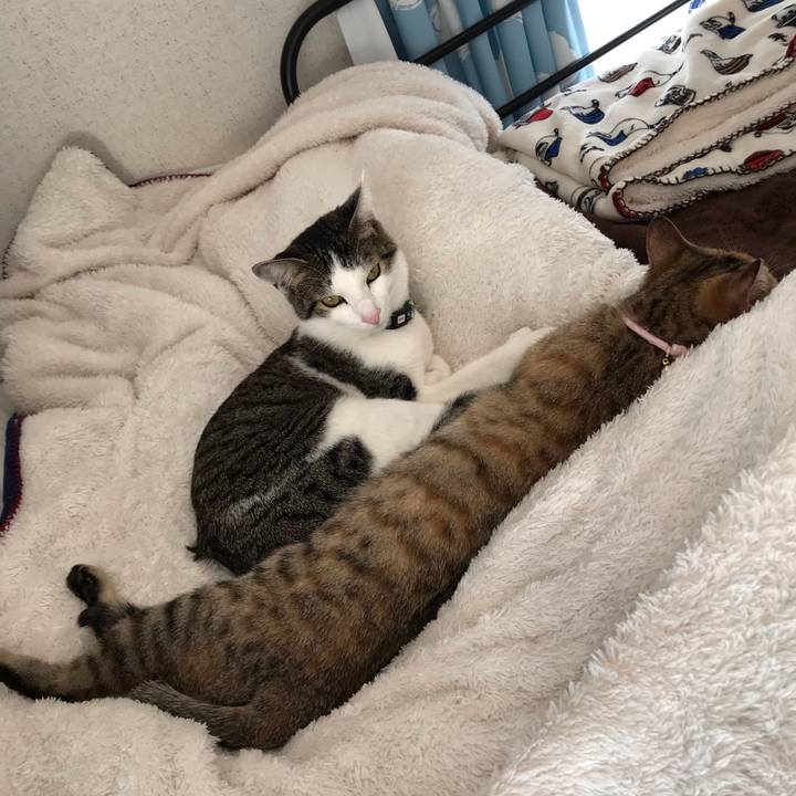 71b820e1 7f14 426a 9cc0 9f264952d7e6 1547879773363