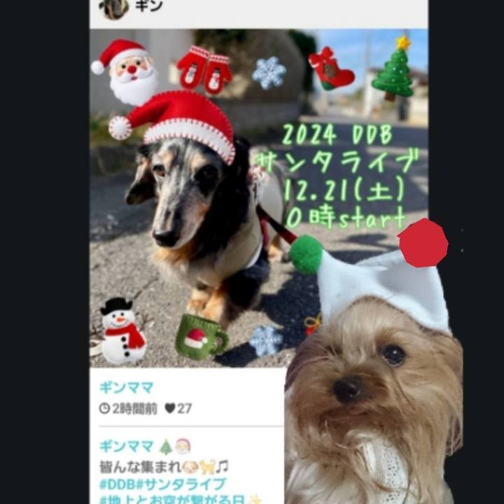 71b82ba2 00fc 40aa 8401 a7d1a128f6c4 1733717781267