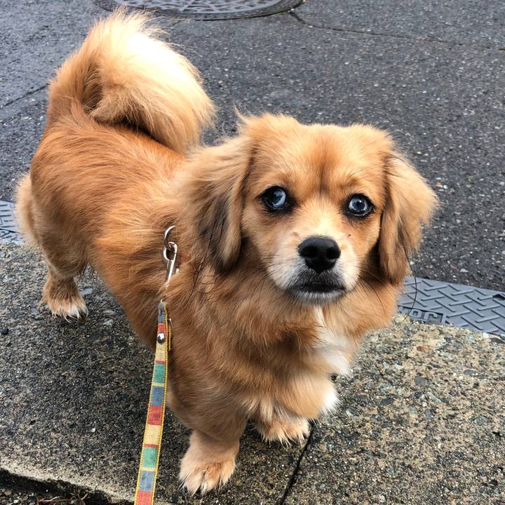 71b8722e 5f19 4a64 9877 074364aa3906 1511393245166