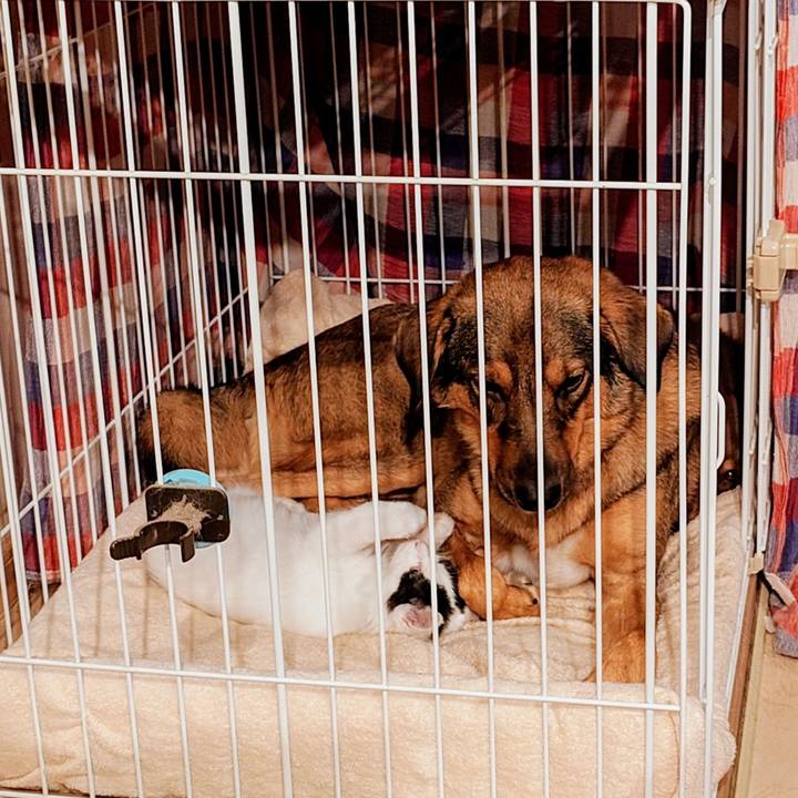 71b87ed5 5ed0 49dd 8f7c f2cf87df0ec3 1761127897872