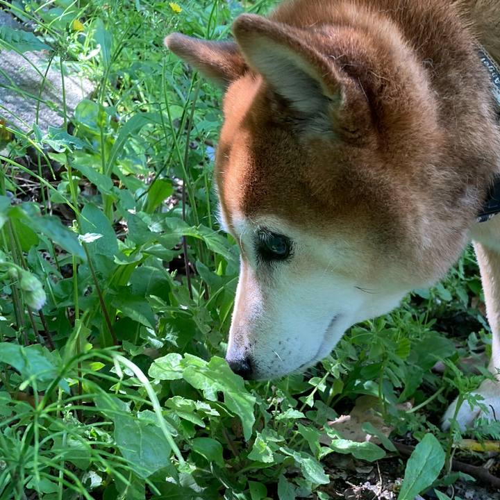 71b89680 ade5 4773 92ac b53ba0bf1c11 1682066857676