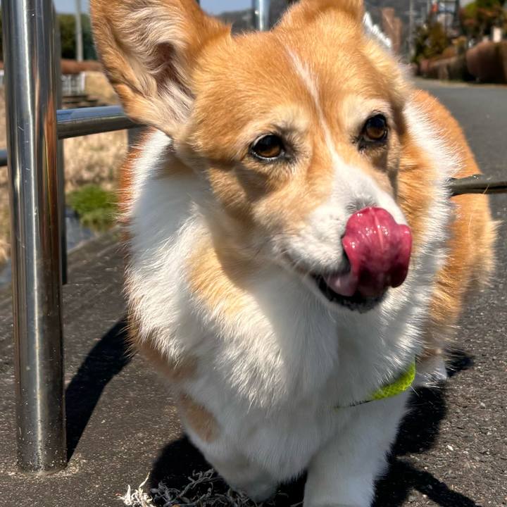 71b8a235 24b4 4438 88ce d77f417f476c 1774074599571