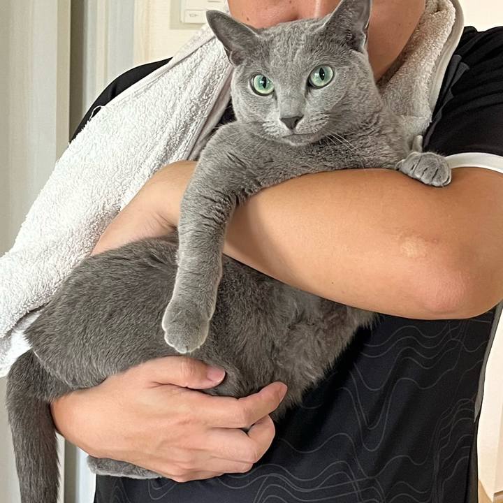 71b8d216 a74e 41a2 b161 0f515ce5fdfe 1758972629961