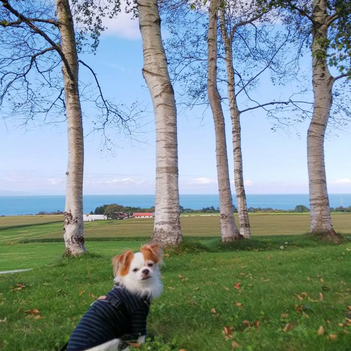 71b90a6c cc5a 48b3 9db7 66eaf3483051 1538201709929