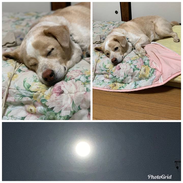 71b91f1d b0e3 4313 b4df f9b6c365df63 1560783386153