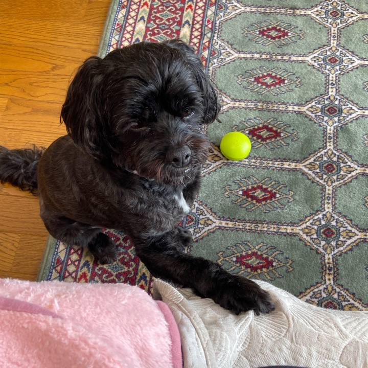 71b92733 2572 4f7d a13a cbdd3b6920d0 1600216916148