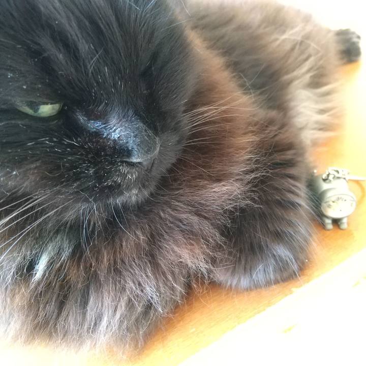 71b927c9 128d 479d 87d5 049901b22f9f 1649373841612