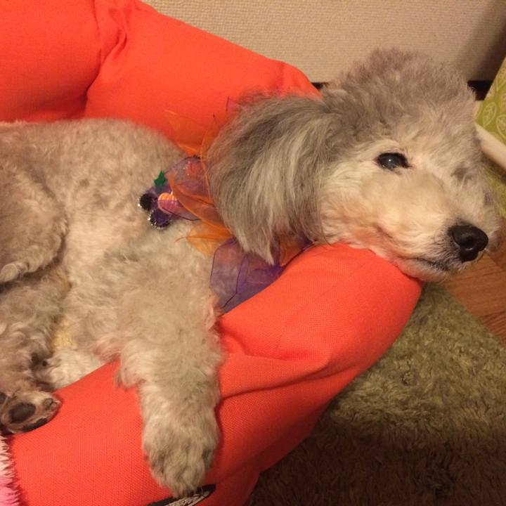 71b92ef7 9e6d 437a 9d22 f7b84ed58ecb 1509490747990