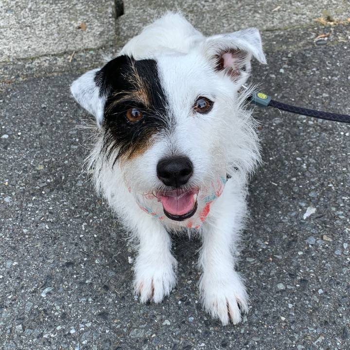 71b93ef2 ea52 4b6e b88b 0e8d1c4dc800 1656717737526