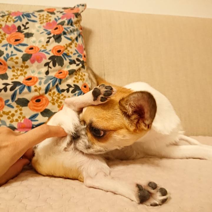 71b943c3 8318 42ed b4c6 77d199194cce 1568876437141