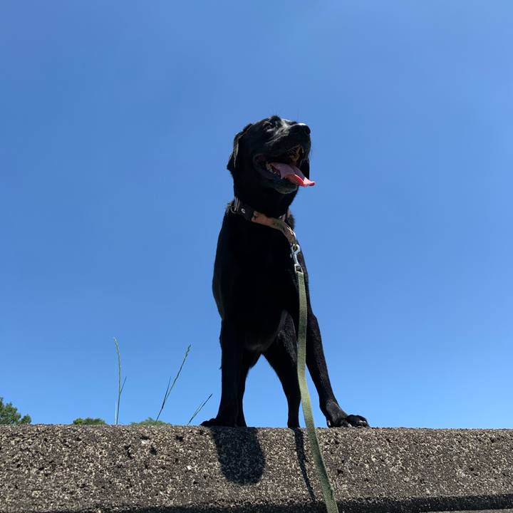 71b94cb7 5a1e 4ef2 9e81 a0a523e1889b 1591526074149