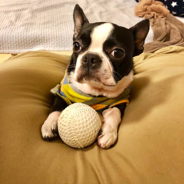 71b953bc 345b 4242 b21f 9adcae4b9757 1517026563729