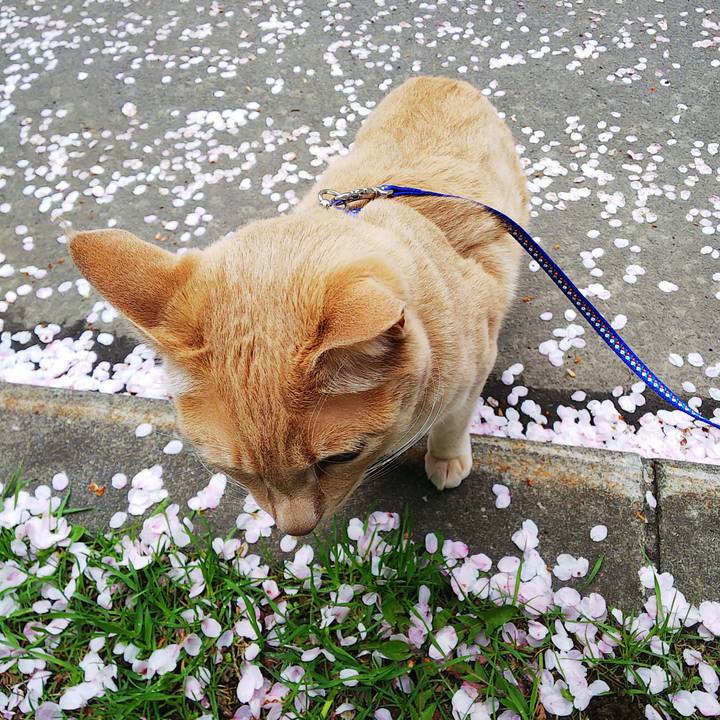 71b957a7 5b61 4dc9 86e7 b4b2318e3e8a 1589185491169