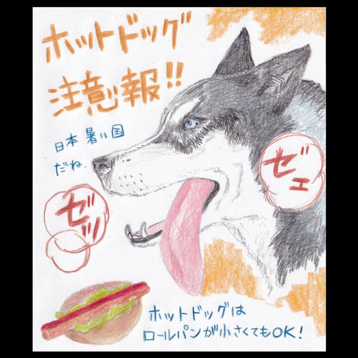 71b96b09 3982 430d 83c8 9d38c41c5c4c 1658786402720