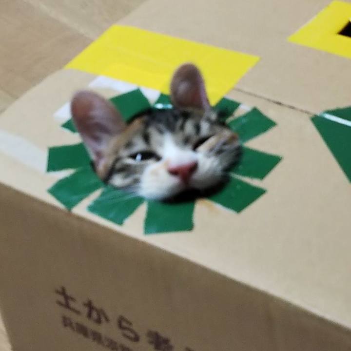 71b97da2 0762 4512 b3c8 b55f6c1a6255 1628371024357