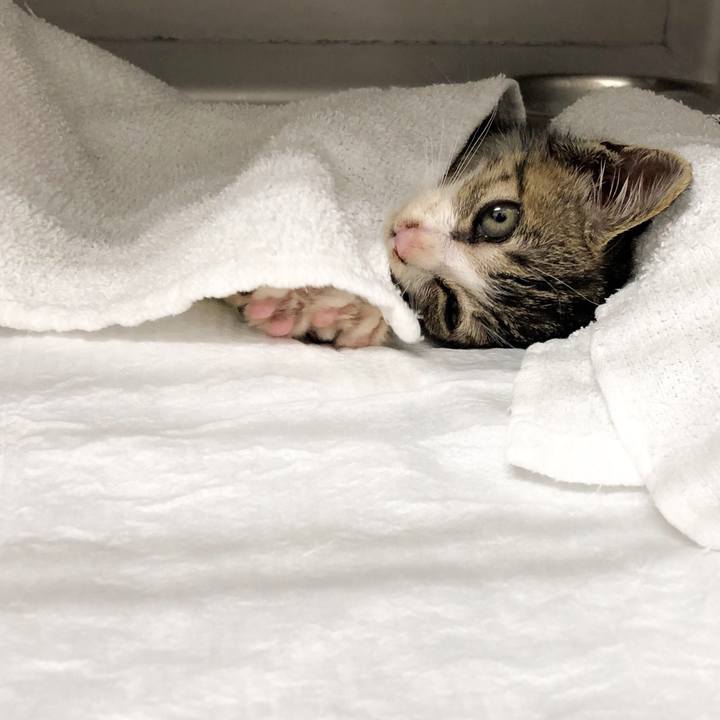 71b9abfc 9e38 467e b555 0bc4acf54f95 1560577078549