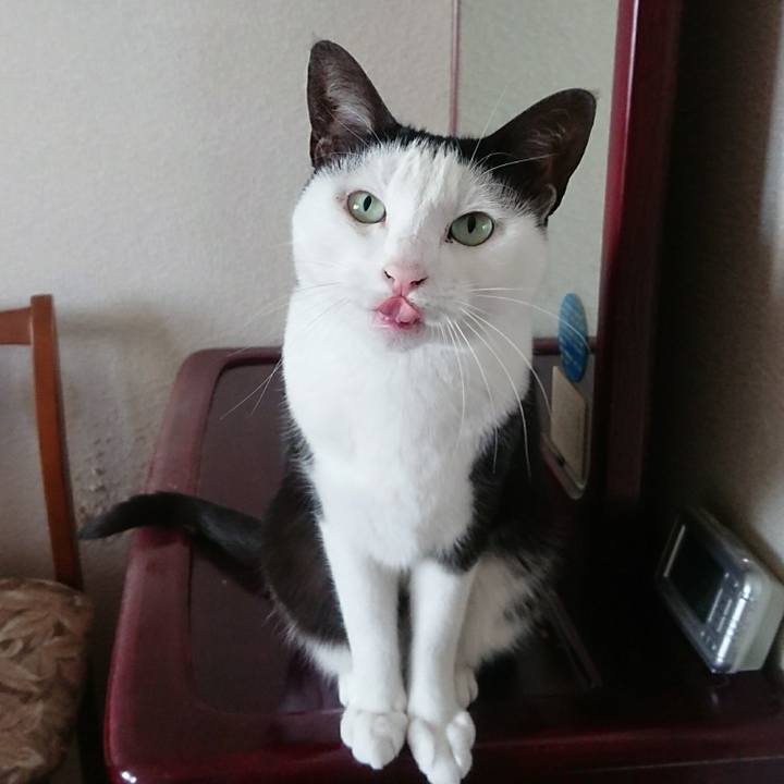 71b9c27d 7aac 47fd aca5 6c0c3659772f 1511259692048