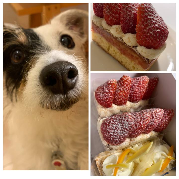 71b9d9fb 7e42 4cdf ab96 f2378a4f33ab 1618925092232