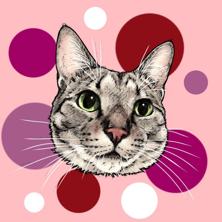 71ba0da9 192a 4198 805d e445596384b7 1647358773781