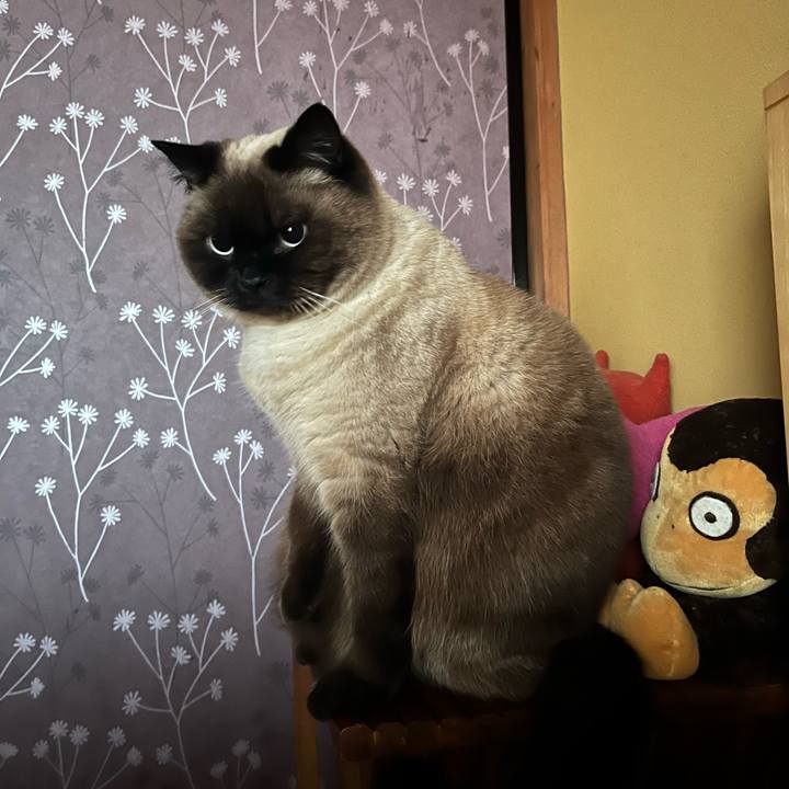 71ba0ec8 9d70 46b5 ae55 ddfec3b7661f 1643758502958