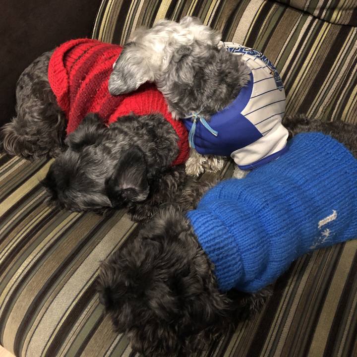 71ba1ea1 51b0 4b8f 9261 998185c48cb4 1576192538529