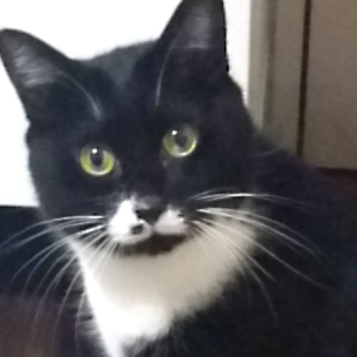 71ba46ac d78c 48b4 a307 7c9f66dcc110 1507715605157