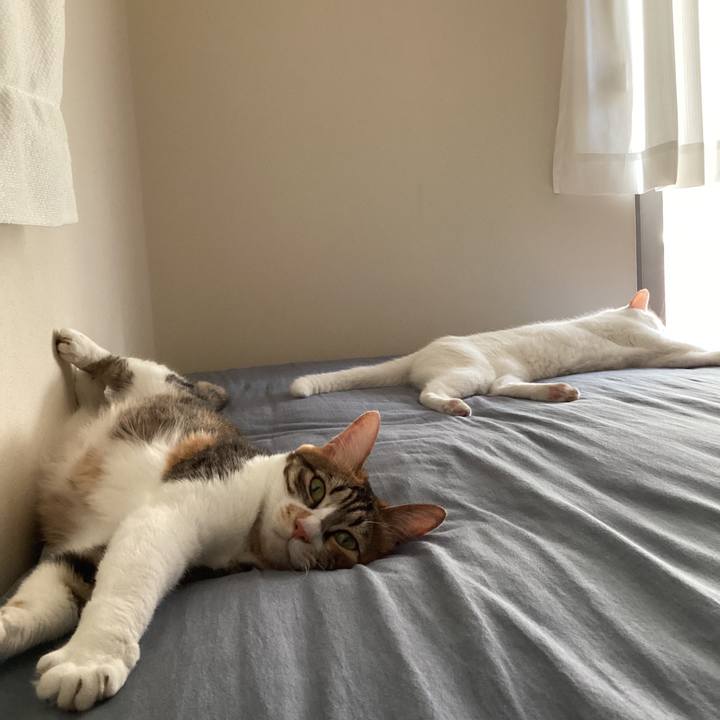 71ba5437 e07b 434c af6e 9c925f76d7b5 1717568999438