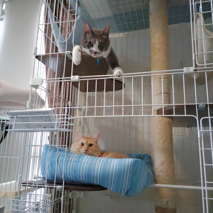 71ba5ce1 378c 4be8 ac78 ca6014d4e566 1695711525454