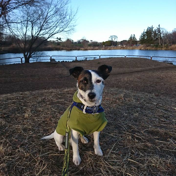 71baa901 8751 443c aa37 ab58b4c2d878 1514789868242