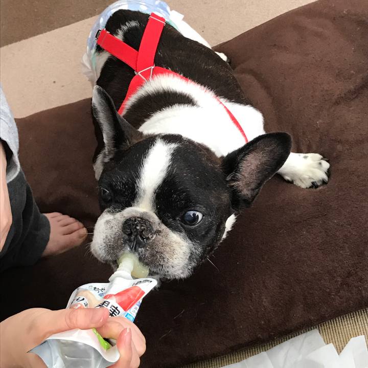 71bab937 a7a4 40ca a173 b554cd0732f0 1514777949450