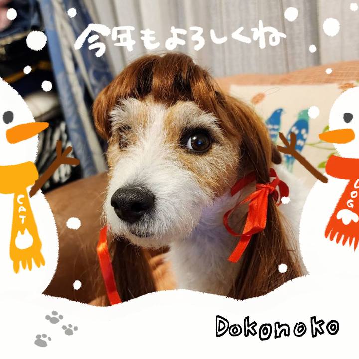 71bac707 b6dd 43fe bd8d 97aa09495e3f 1704539380797