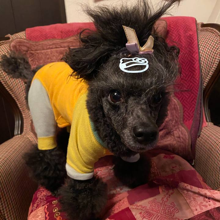 71bad0d5 e89b 468f 92ee 53d0dafa0c7a 1668176841406