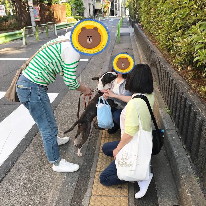 71badcaa 339d 43f1 afad 323a0cb25d2f 1524320178734