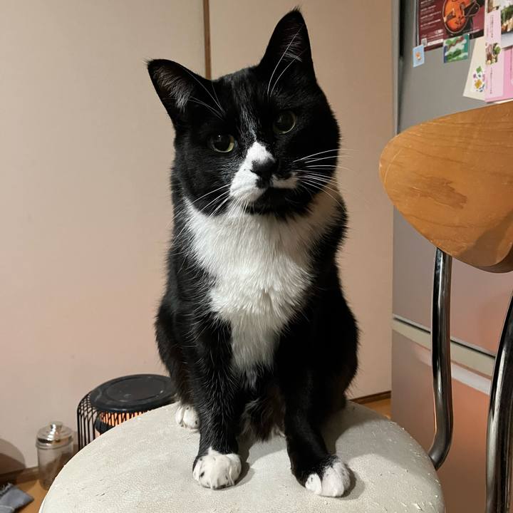 71bae764 5175 4341 b94f aa986ce7f94b 1708672671972