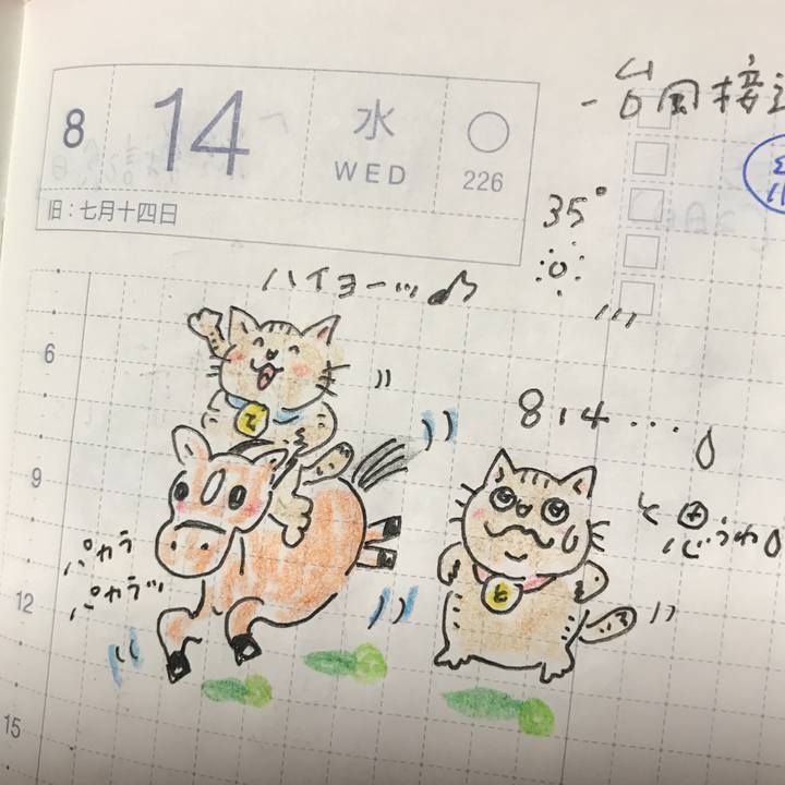 71bafa19 7c40 4a83 9a79 5128b21b1c16 1565736644861