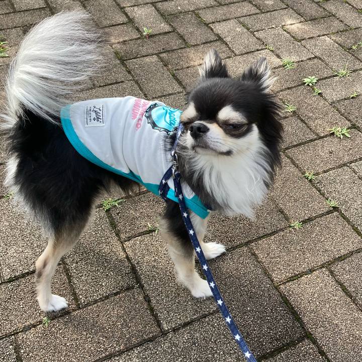 71baffbd 0624 4f64 9888 4f15f43a50e5 1655041162704