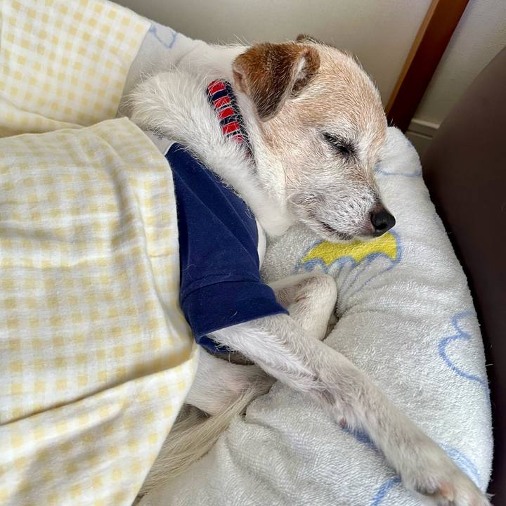 71bb2749 6e4a 4aad 99b3 7d3c89f978ec 1713781816859