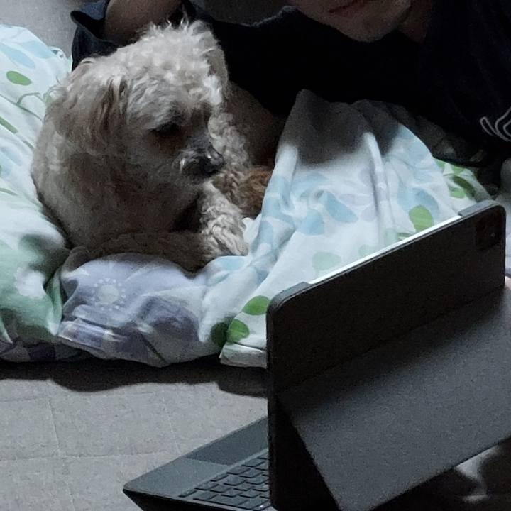 71bb347d dedd 4f06 b60f 455dcaea7245 1746447986871