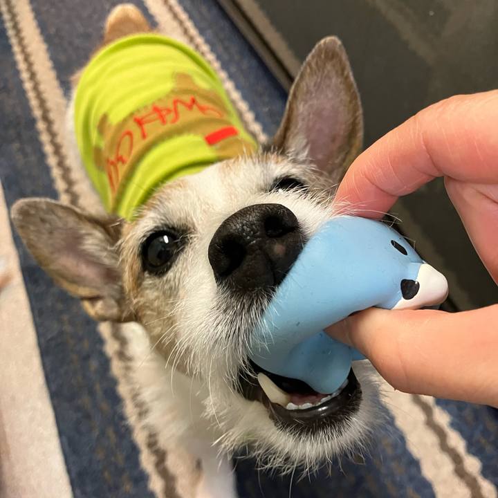 71bb6bc0 caf1 4c55 b742 af9bf6490cbd 1683938977905