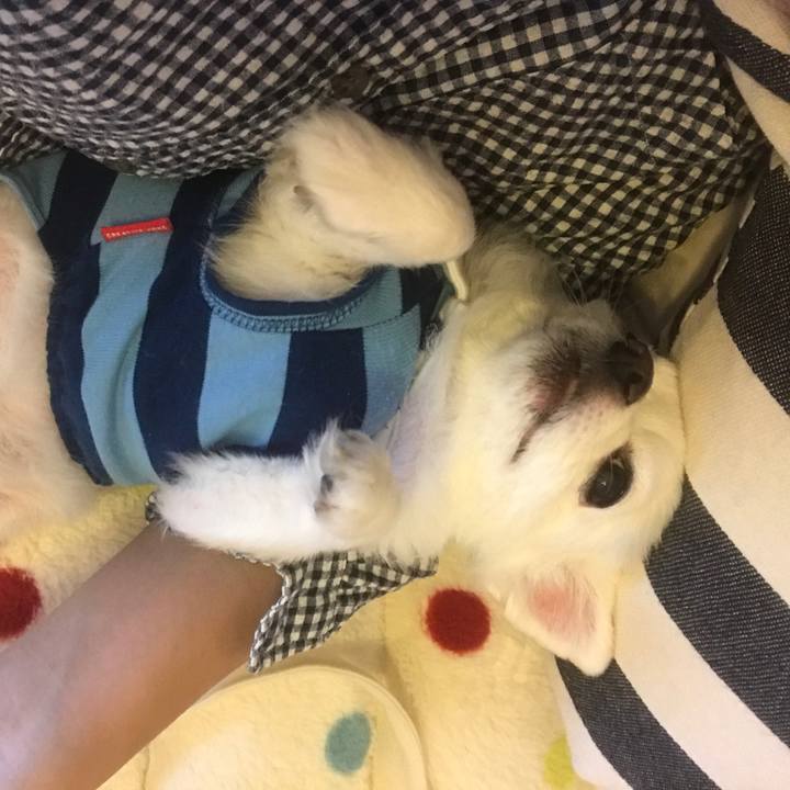 71bb6ea8 d210 431b 93b6 cf1ceeda2a00 1508201309541