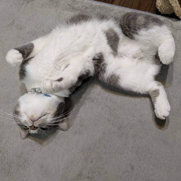 71bb8ea5 37b1 47ca 87b7 7afa8aad61f4 1756043966792