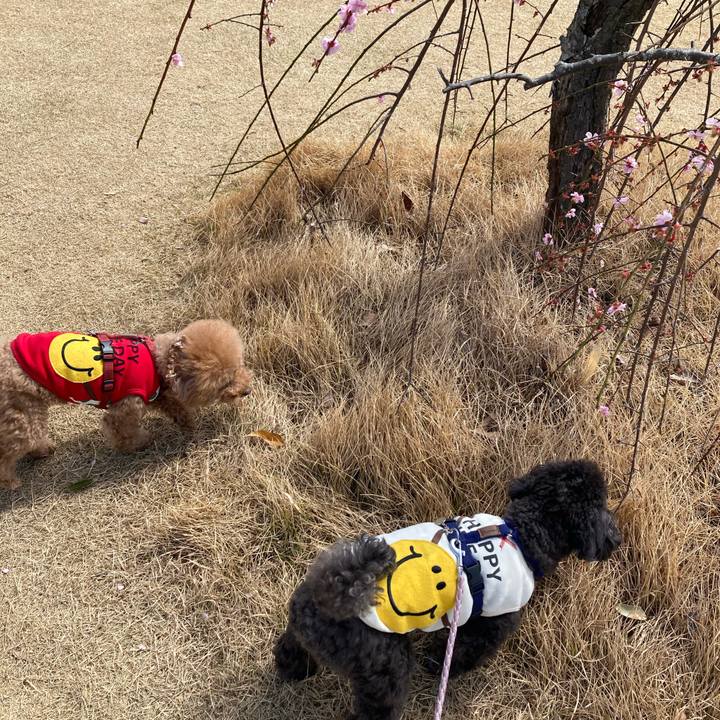 71bbab43 23b2 4588 9b01 f0891942acf8 1679106081722