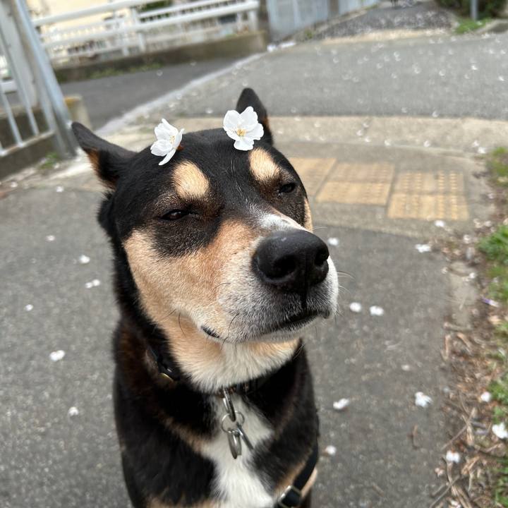 71bbeb96 03e4 4a24 b846 ca07b71a81ff 1744331828579