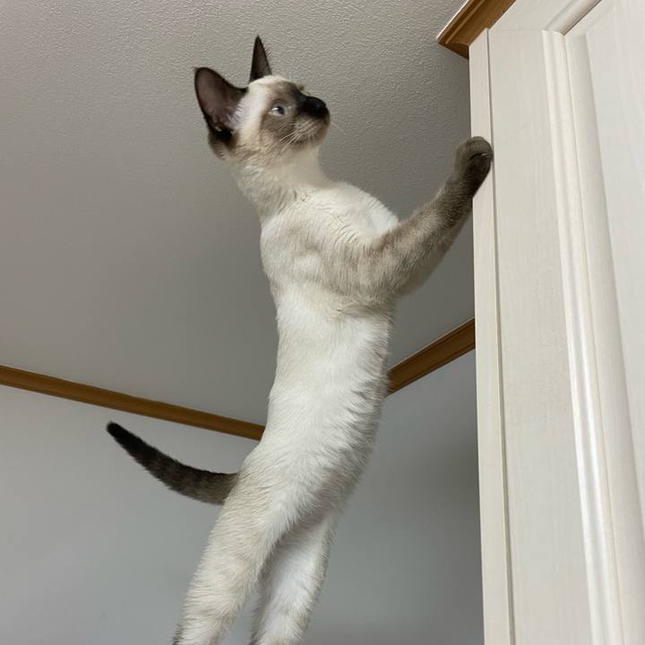 71bbed4b f5e9 4357 9646 89e0e1a72944 1693166127704