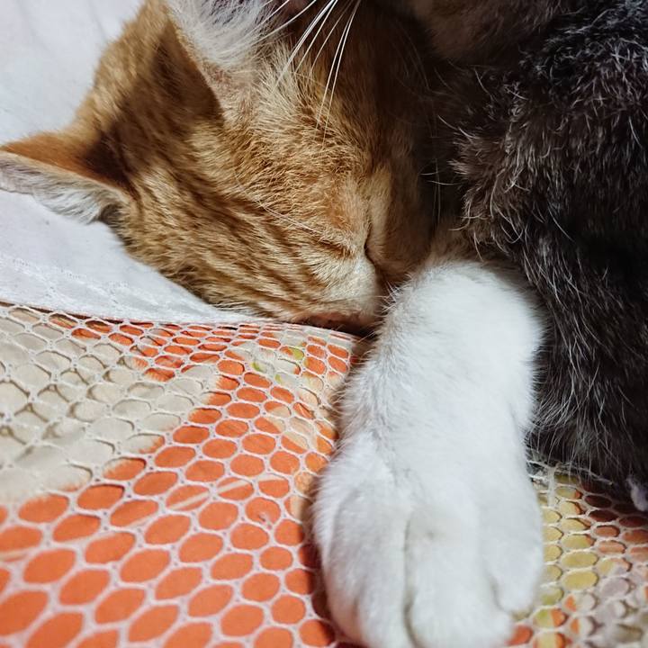 71bbef53 4c3a 44ec 8cdb 85e4b9b82c99 1585052458233