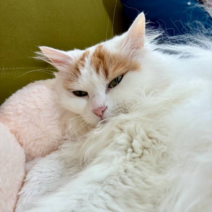 71bc0ce2 eebb 4ede 9e2f 6ad4c3a9a454 1772338596304